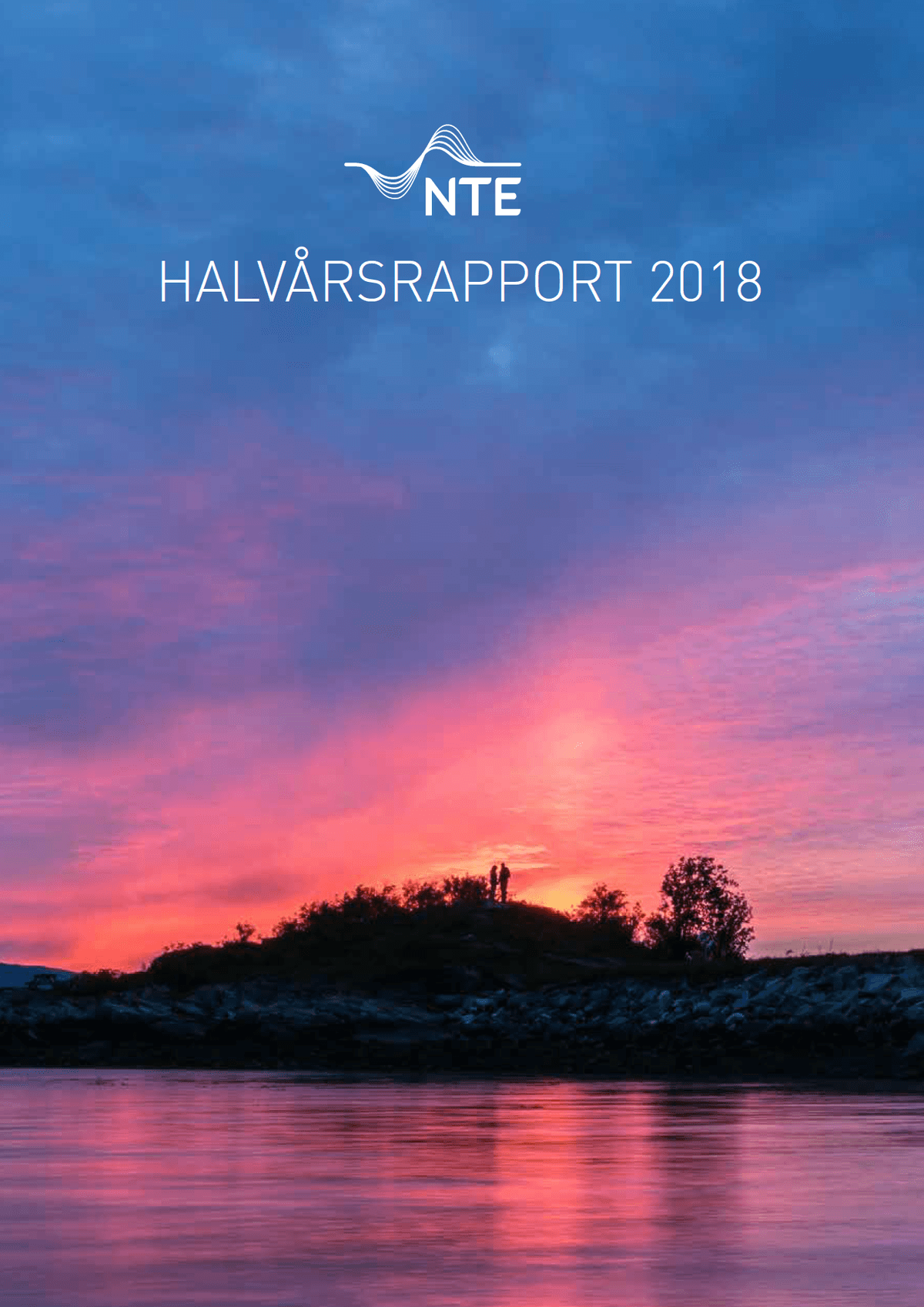NTEs Halvårsrapport for 2018 NTEs Halvårsrapport for 2018