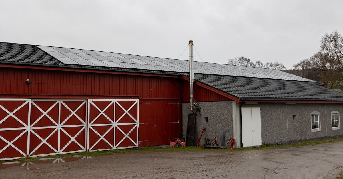 solceller Driftsbygning med solceller