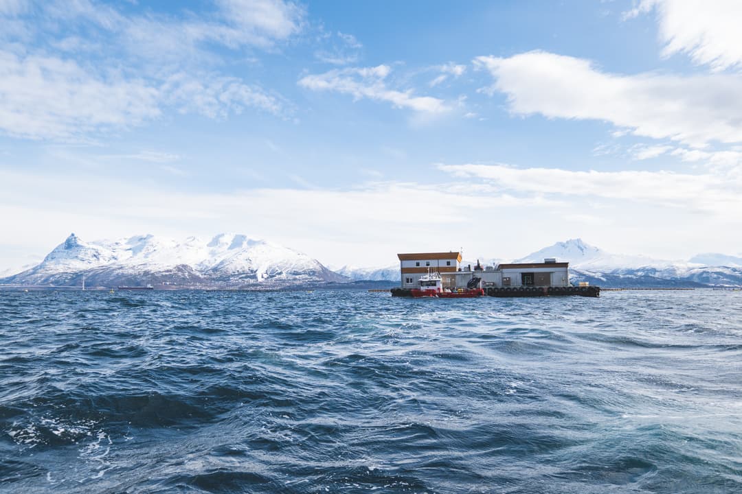 Fôrflåte Bilde av fôrflåte ved oppdrettsanlegg utenfor kysten.
