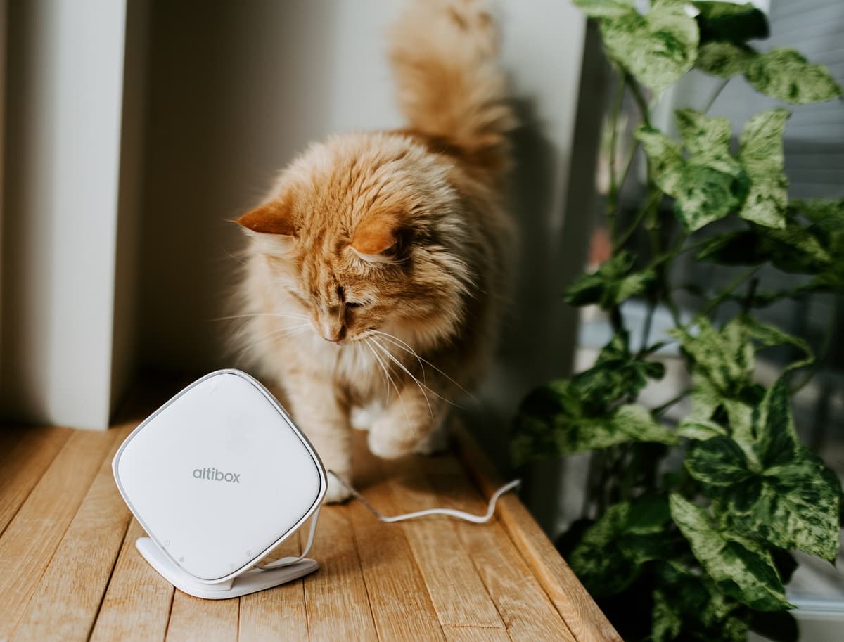 Altibox Wifi Overalt Altibox Wifi Overalt