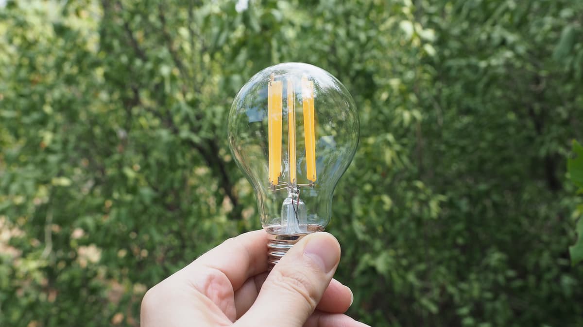 Hånd holder opp en lyspære foran et løvtre Hånd holder opp en lyspære foran et løvtre