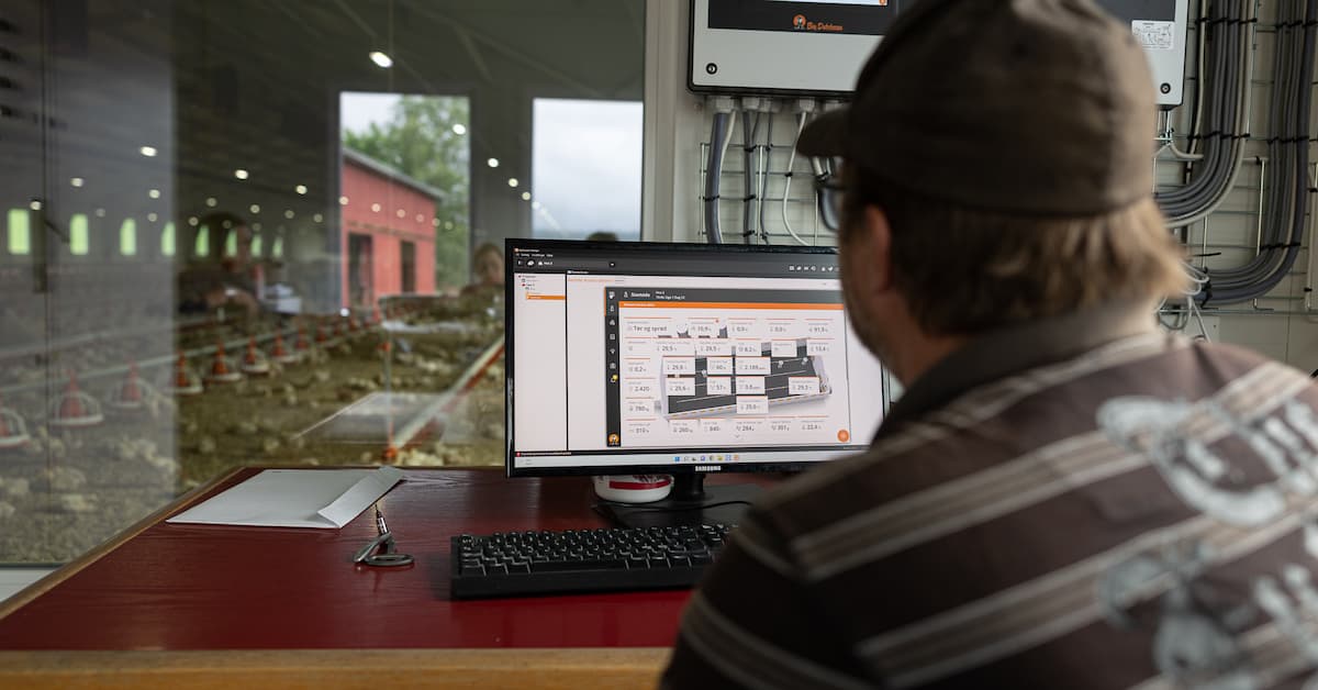 Rune foran PC-en Mann sitter foran en PC-skjerm. Bak ser man kyllinger gjennom et vindu.